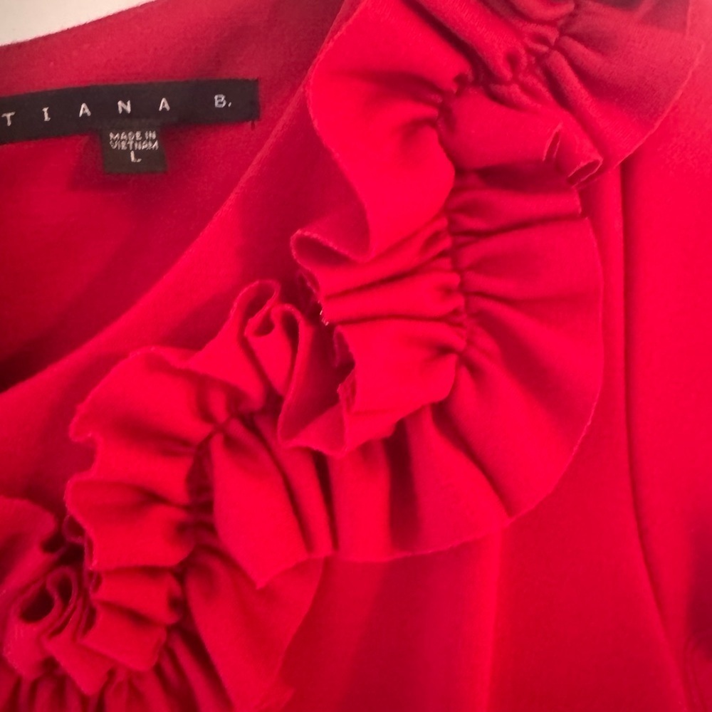 Tiana B. Vibrant Red Dress with Ruffle Detail- US Large - Picture 3 of 11